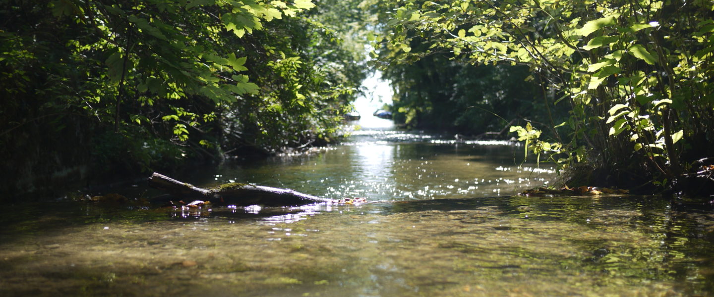 Revitalisation de cours d'eau