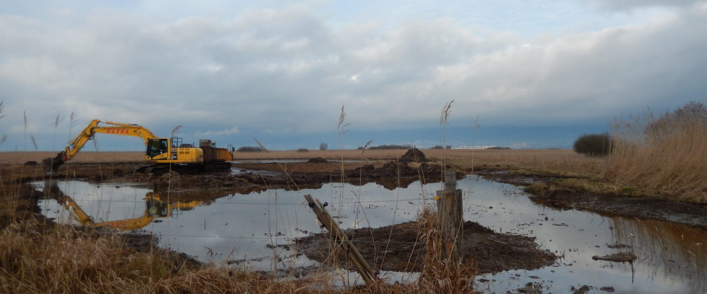 Travaux de renaturation et revitalisation du cours d'eau