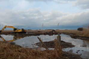 Travaux de renaturation et revitalisation du cours d'eau