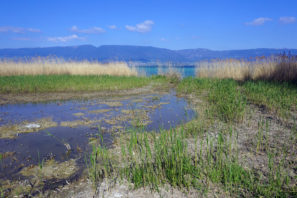 dsc04375_site