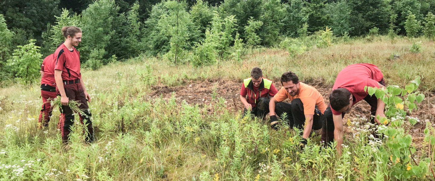 Néophytes formation des forestiers pour la lutte contre les espèces invasives