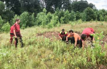 Néophytes formation des forestiers pour la lutte contre les espèces invasives