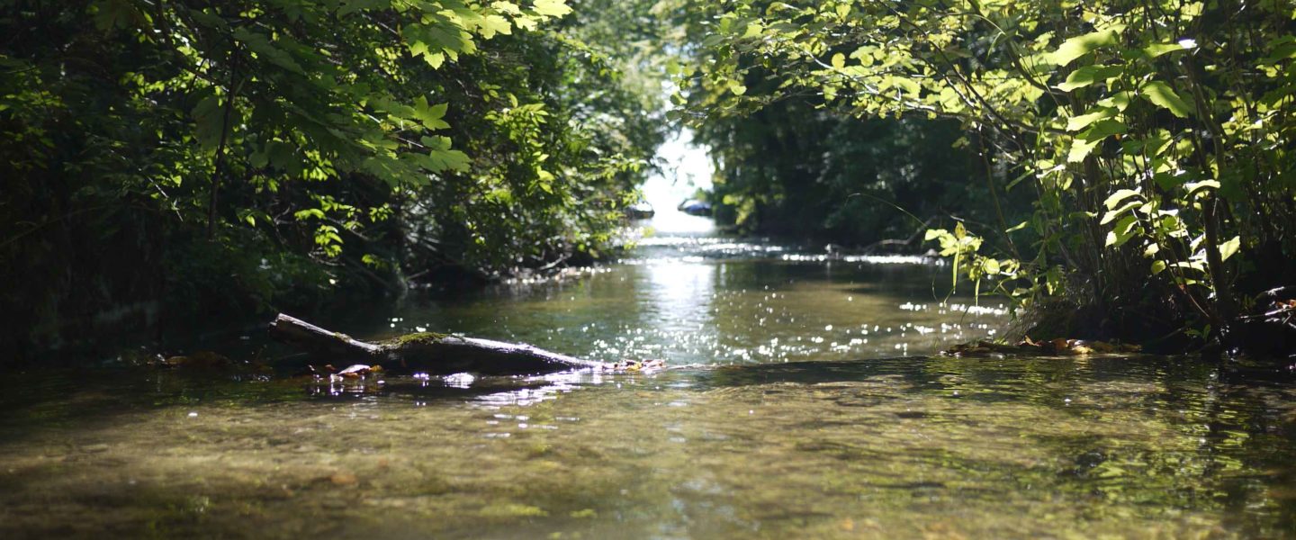 Protection des eaux Prona Romandie, Delta de l'Areuse