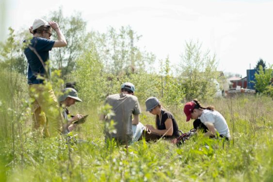 relevés des milieux naturels