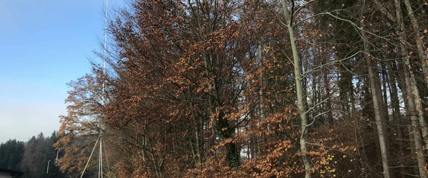 Etude nature et paysage Prona romandie bureau