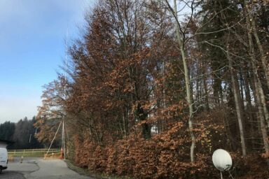 Etude nature et paysage Prona romandie bureau