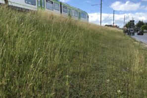 diagnostic écologique prairie