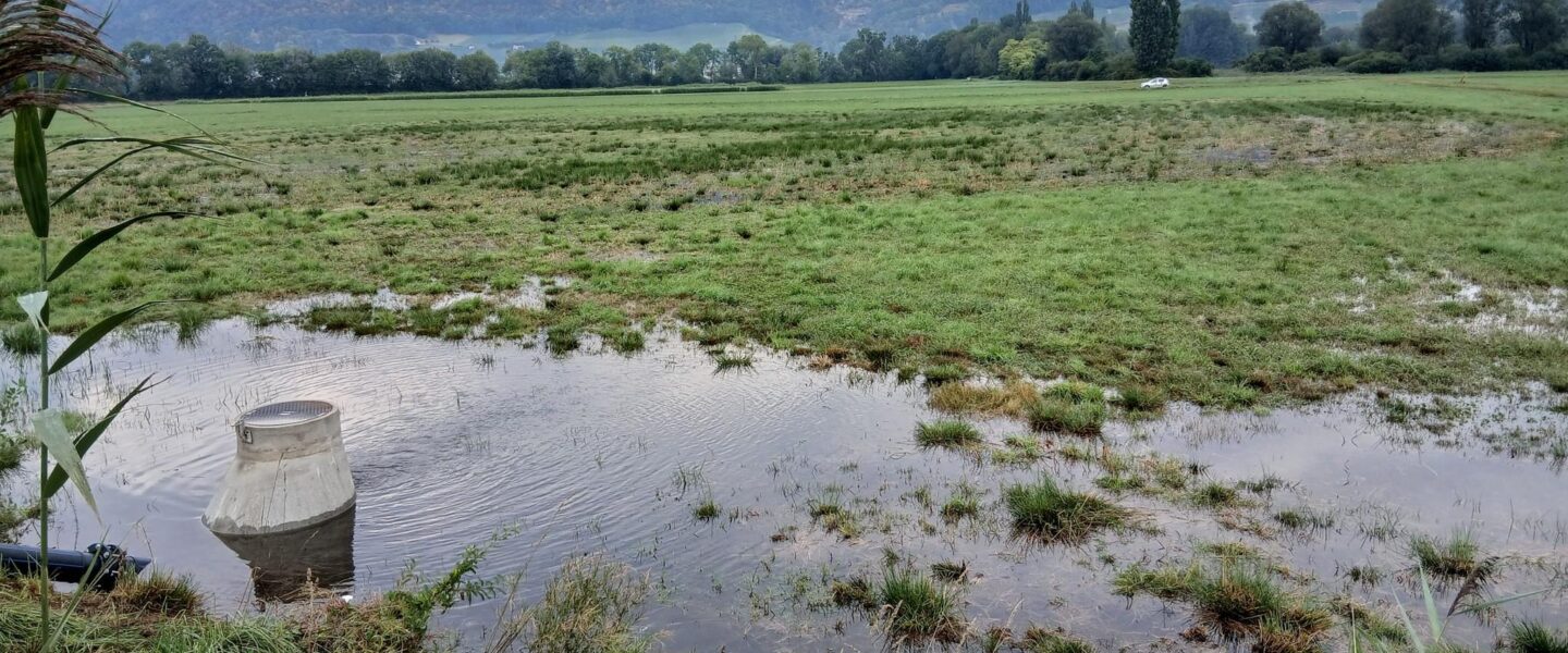 Piézomètre installé pour le suivi hydrogéologique du projet de restauration de zones humides propices à l'avifaune limicole à la Vieille Thielle, Cressier (NE)