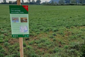 Panneau d'information du projet de restauration écologique pour l'avifaune limicole, Service de la faune, des forêts et de la nature (SFFN), canton de Neuchâtel