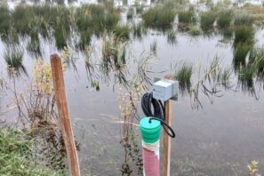 Piézomètre équipé de sonde pression-température pour la mesure en continu de la nappe phréatique, projet Vieille Thielle