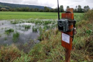 Caméra de surveillance automatique pour le suivi de l'inondation artificielle et l'observation de l'avifaune limicole à la Vieille Thielle
