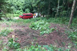 chantier-lutte-renouee-du-japon-reverule